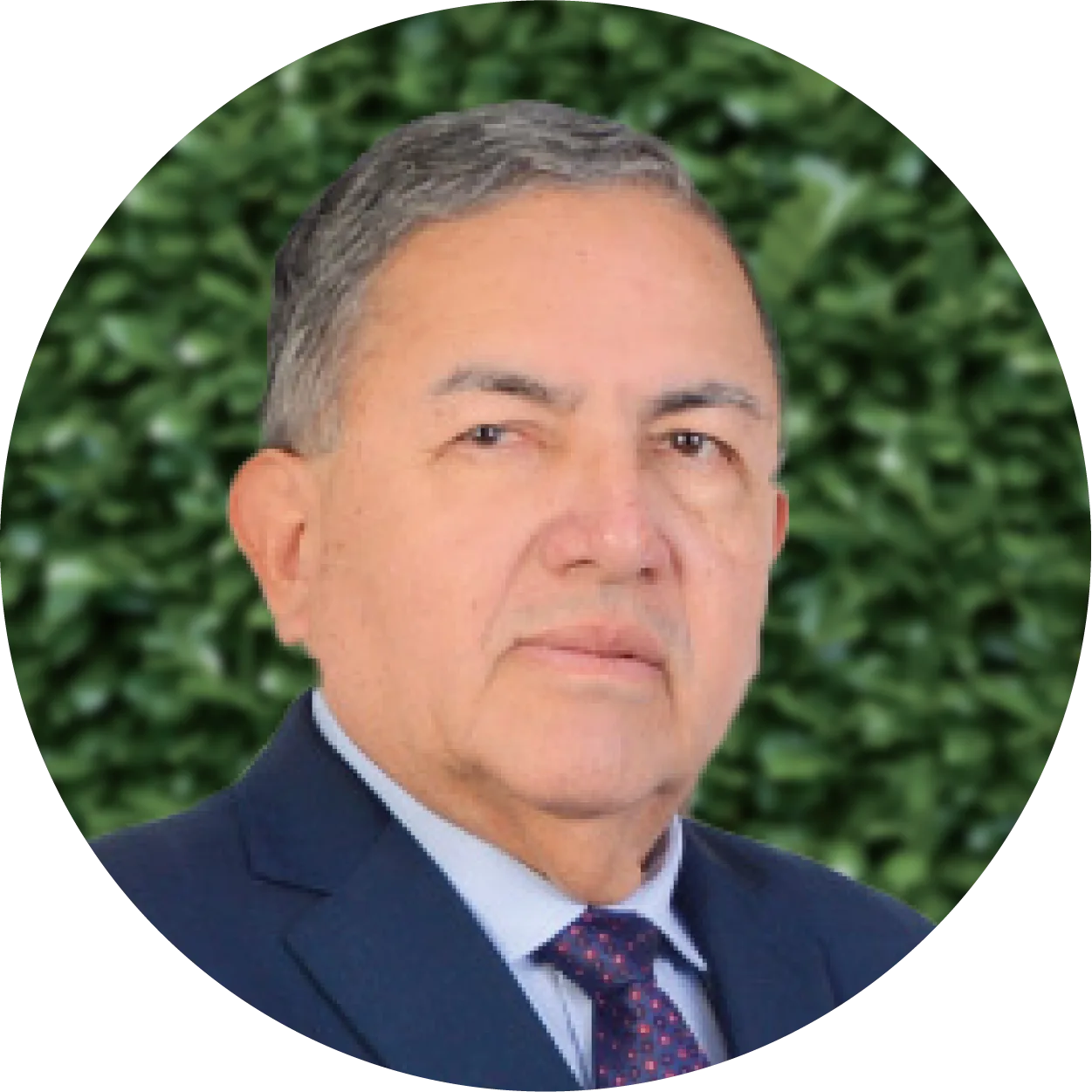 Mejía Puente, Miguel Hermógenes