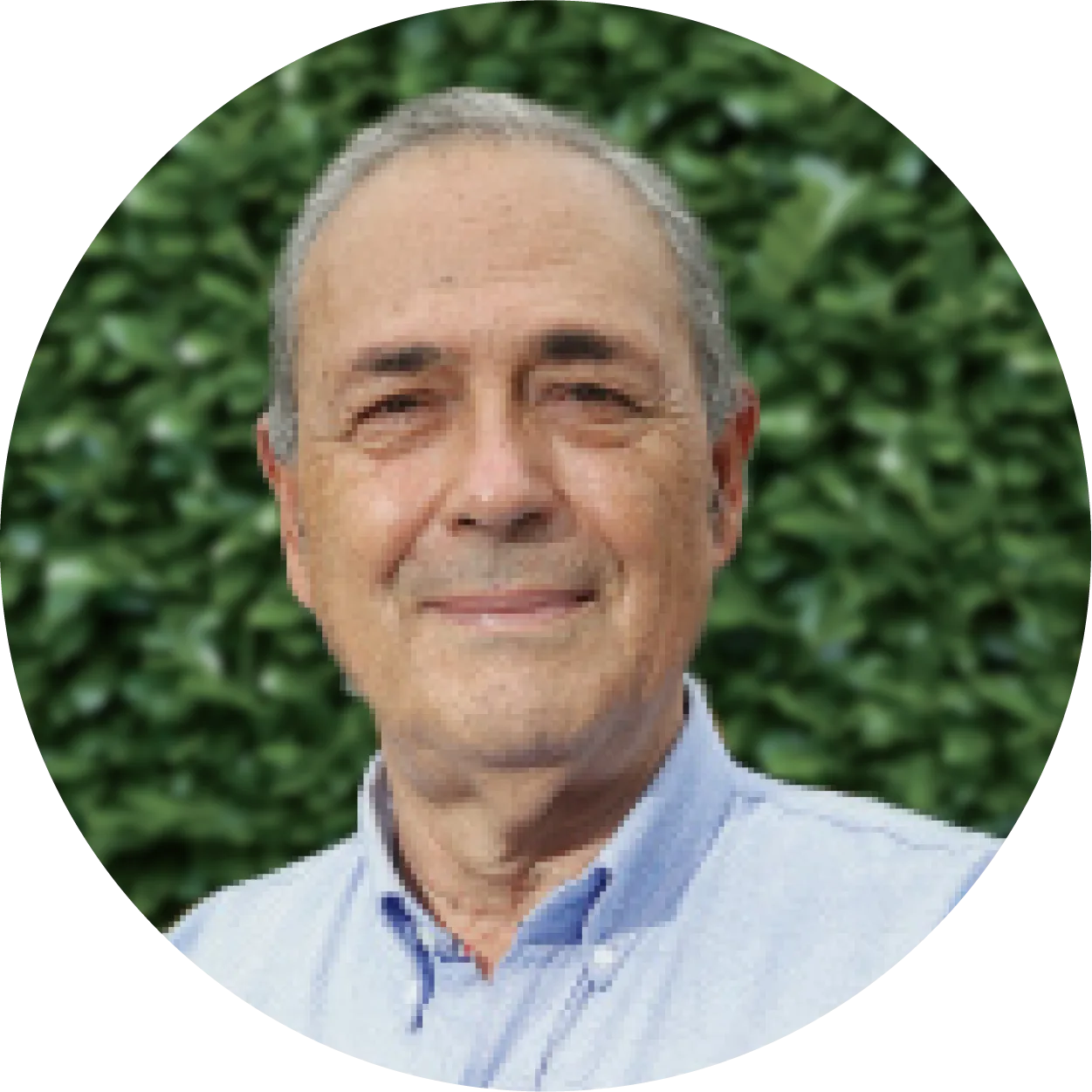 Ottazzi Pasino, Gian Franco Antonio