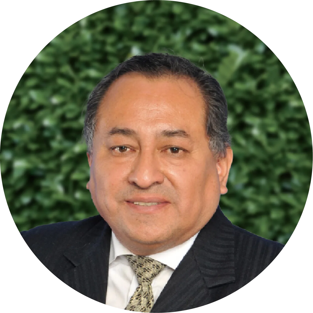 Rau Álvarez, José Alan